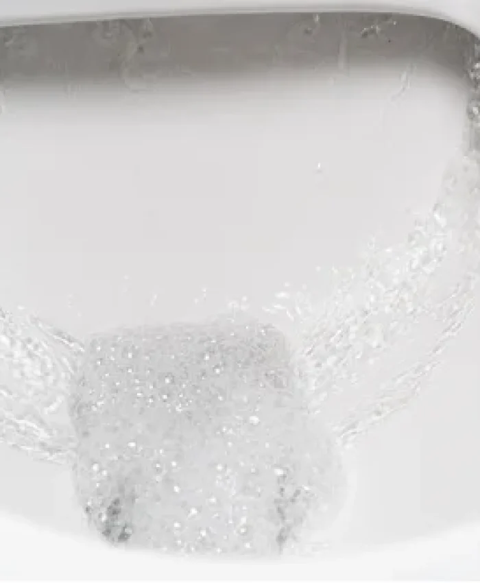 Can Hair Clog a Toilet: Everything You Need to Know