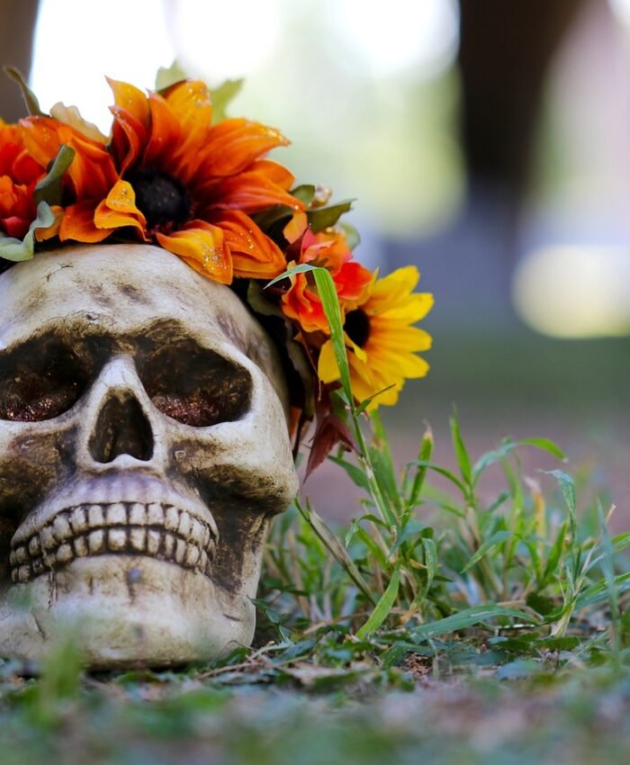 DIY Halloween Decorations