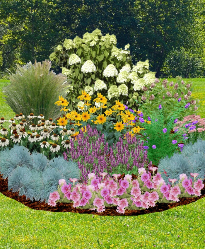 How to Create a Pollinator Garden Layout in Easy Steps