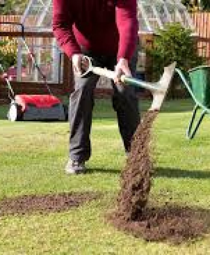 How To Topdress Your Lawn By Hand Easily