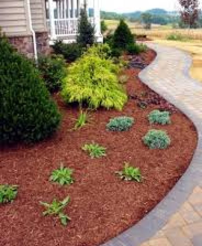 Eco-Friendly Ways To Keep Weeds From Growing In Mulch Beds