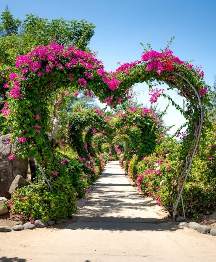 DIY Garden Arches Ideas