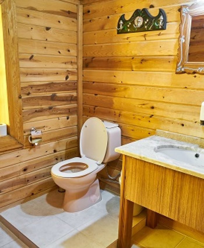 What to Do When Poop is Too Big to Flush