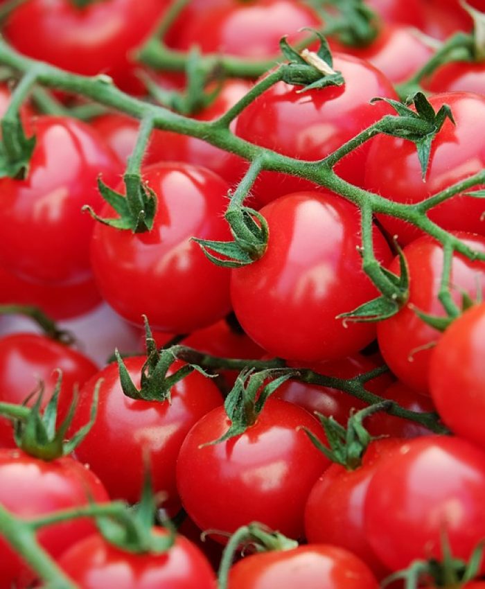 Tricks to Grow More Tomatoes