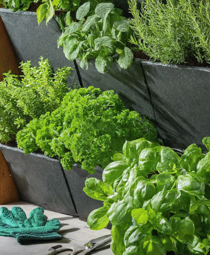 Very Small Garden Ideas On a Budget